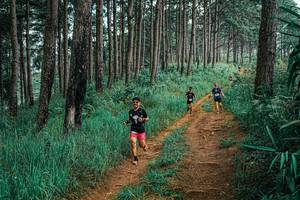 BIB: 
                            <button type="button" onclick="openModal(25655051)" class="btn btn-primary btn-sm float-right btn-popup" data-toggle="modal" data-target=".modal-high-quality">
                        <i class="fas fa-shopping-cart"></i> Add to Cart
                    </button>
                                            <button type="button" onclick="isThisMe(25655051, true)" class="btn btn-success btn-sm float-right btn-popup btn-isme hidden" data-toggle="tooltip" data-placement="bottom" title="นี่คือรูปของคุณใช่ไหม คลิกที่นี่เพื่อเอาเข้าอัลบั้ม">
                        <i class="fas fa-plus"></i> Add to album
                    </button>
                    <button type="button" onclick="isThisMe(25655051, false)" class="btn btn-warning btn-sm float-right btn-popup btn-isnotme hidden">
                        <i class="fas fa-ban"></i> Remove from album
                    </button>